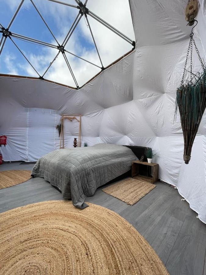 Storjord Farmstay Glamping Тромсьо Екстериор снимка